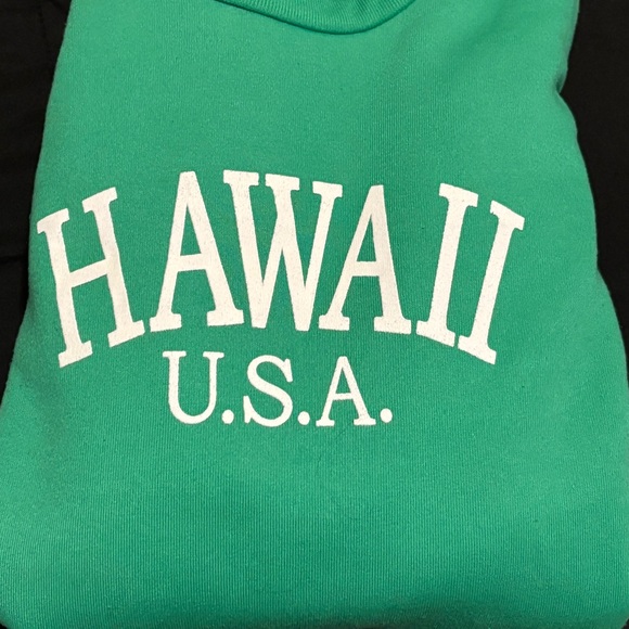 Green Graphic Fuzzy Lined Sweatshirt with word “HAWAII” - Picture 2 of 4